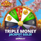 Triple Money Jackpot Gold! Slot Game Image